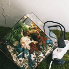 Светильник-флорариум Living ocean colour