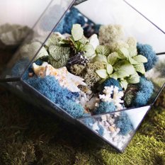 Светильник-флорариум Living ocean blue