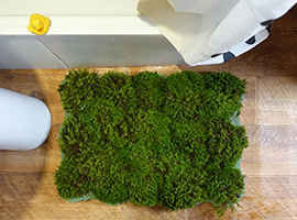 Коврик из мха