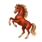 Год Лошади 2026