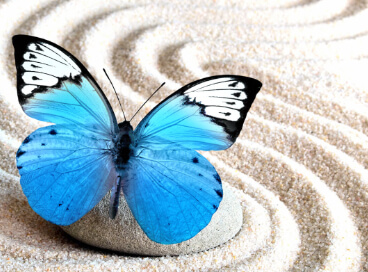 10 удивительных вещей